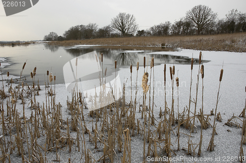 Image of Frozen pond