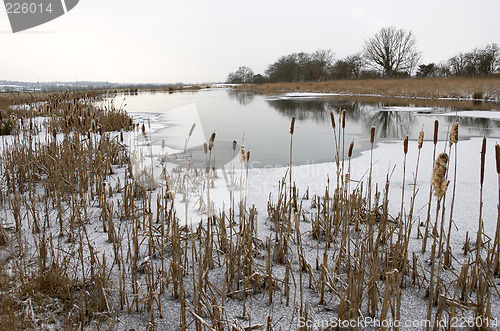 Image of cold day