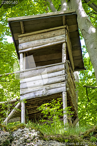 Image of hide in a forest