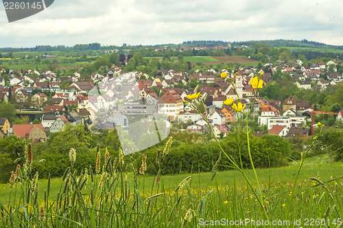 Image of village in the green