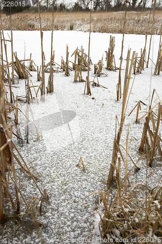 Image of Frozen pond