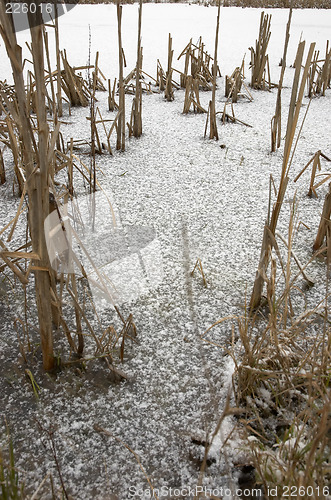 Image of Frozen pond