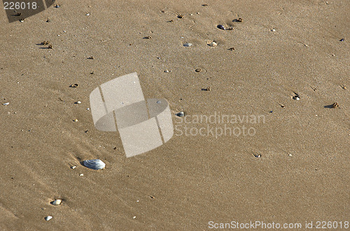 Image of Texture-beach