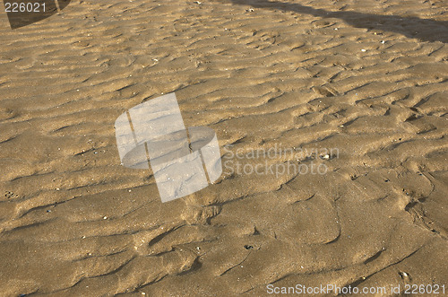 Image of Sand ripples