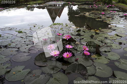 Image of Mirror Reflexion.