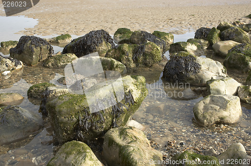 Image of Rock pool