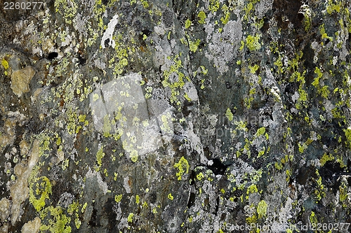 Image of Rock Texture