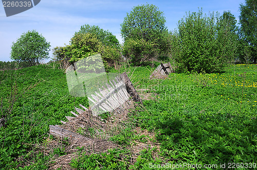 Image of Old Broken Fence and Vegetation