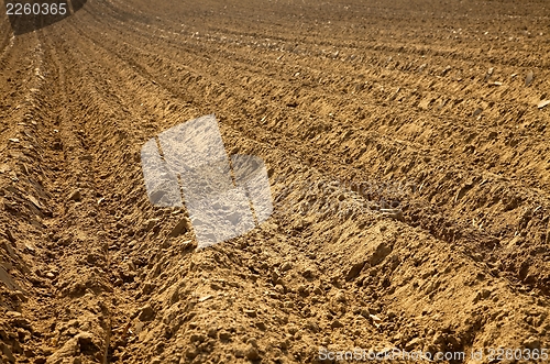 Image of Soil