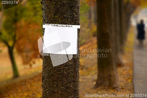 Image of Blank Sign