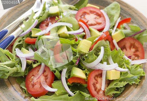 Image of Tossed Garden Salad