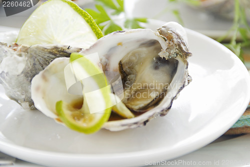 Image of Lime And Soy Sauces Oysters