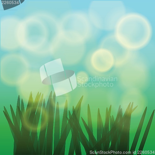 Image of grass