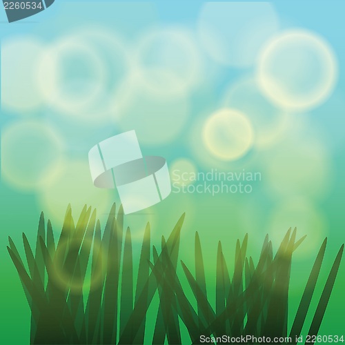 Image of grass