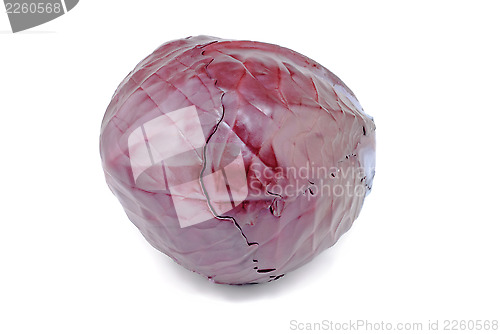 Image of red cabbage closeup isolated on white 