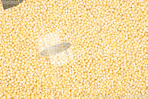 Image of yellow millet close up as background 
