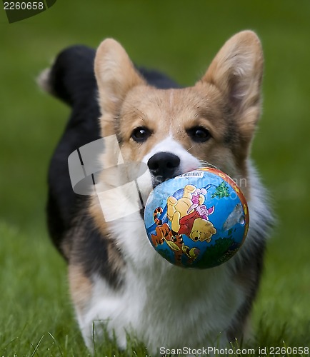 Image of do you want it