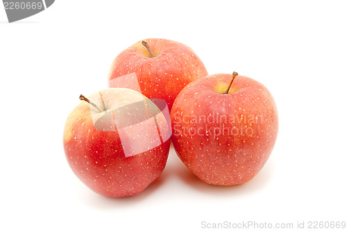 Image of  apple isolated on the white
