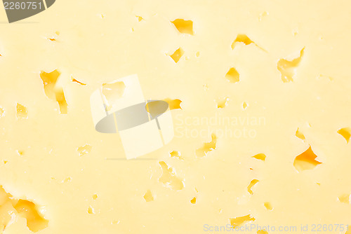 Image of Background of fresh yellow cheese with holes  