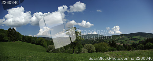 Image of Hills And Fields