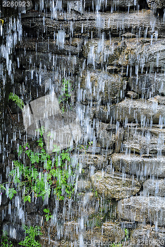 Image of Falling Water