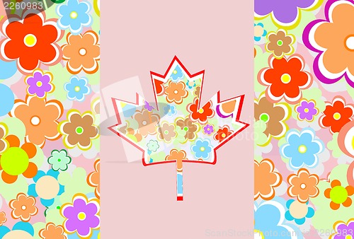 Image of canada maple leaf - flower card
