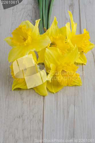 Image of Jonquil flowers