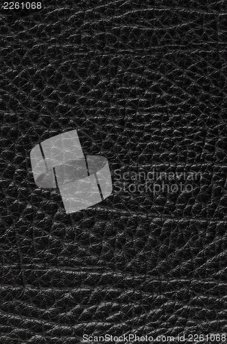 Image of Black leather 