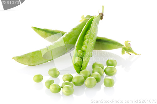 Image of Fresh green pea pod