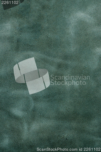 Image of Green leather texture closeup