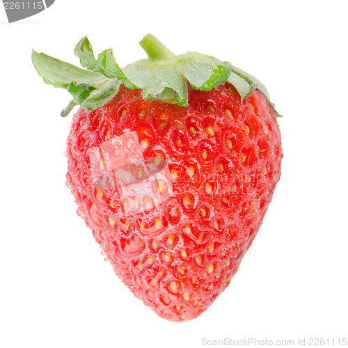 Image of Fresh strawberry