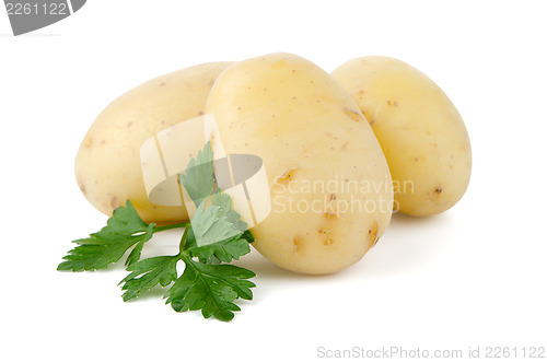 Image of New potatoes and green parsley