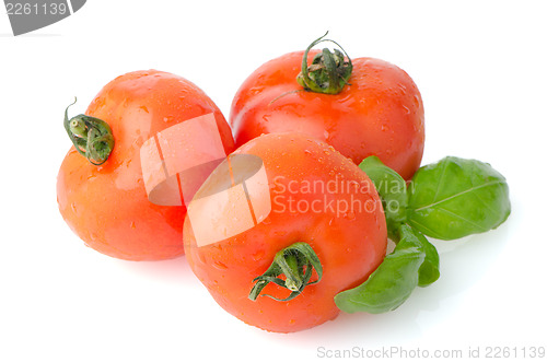 Image of Food ingredients