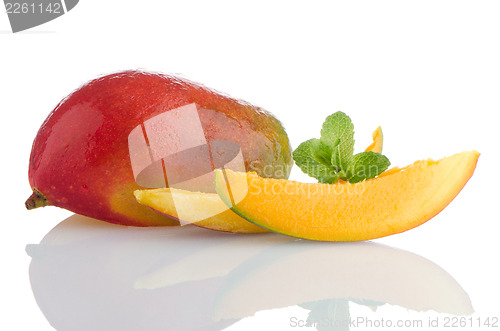 Image of Mango fruit