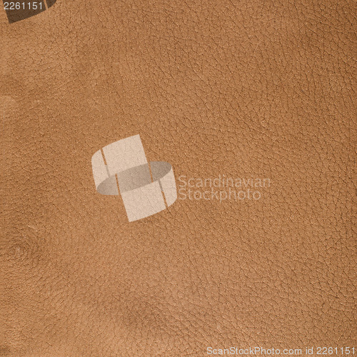 Image of Brown leather texture closeup