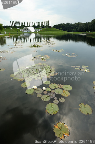 Image of The lake in the park