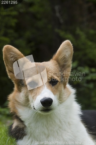 Image of looking at you