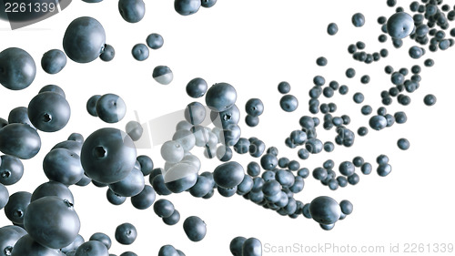 Image of Blueberry flow close-up over white