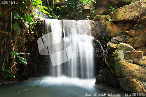 Image of Cascade Water.