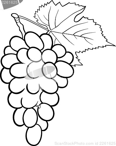 Image of grapes illustration for coloring book