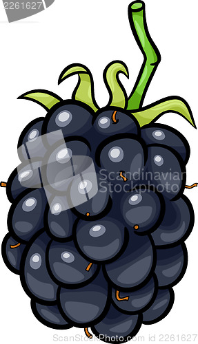Image of blackberry fruit cartoon illustration