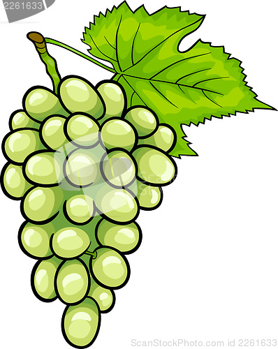 Image of white grapes fruit cartoon illustration