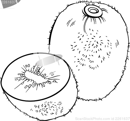 Image of kiwi fruit illustration for coloring book