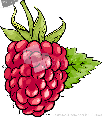 Image of raspberry fruit cartoon illustration