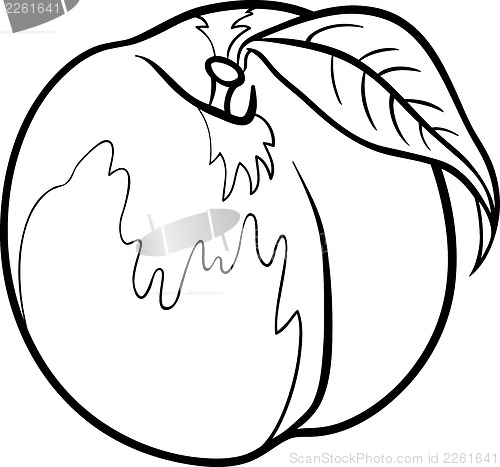 Image of peach illustration for coloring book