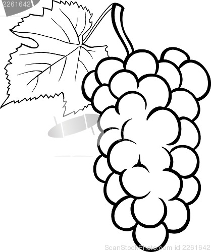 Image of grapes illustration for coloring book