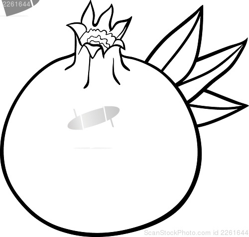 Image of pomegranate fruit for coloring book