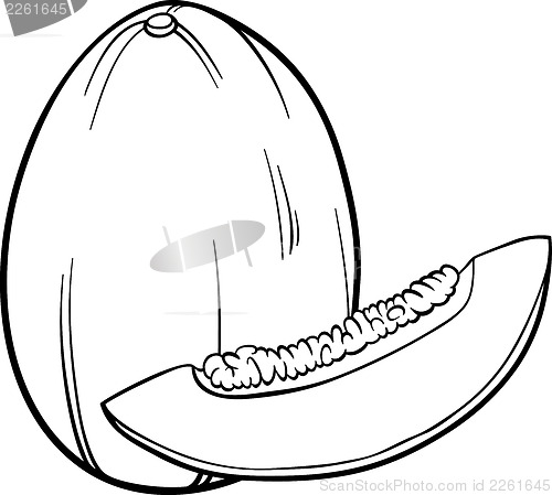 Image of melon fruit illustration for coloring book