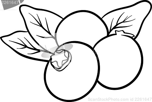 Image of blueberry fruits for coloring book