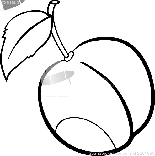 Image of plum fruit illustration for coloring book